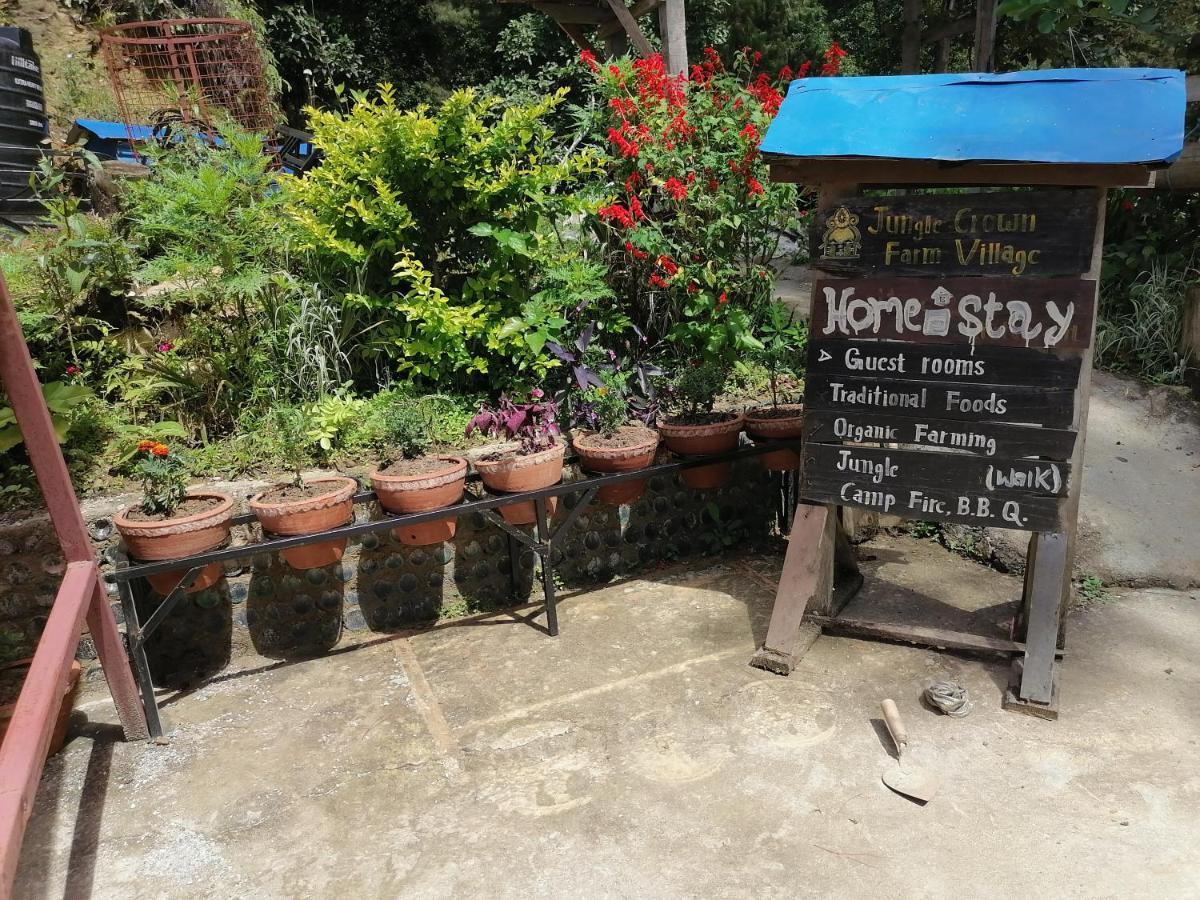 Jungle Crown Organic Homestay Nagarkot Exteriér fotografie