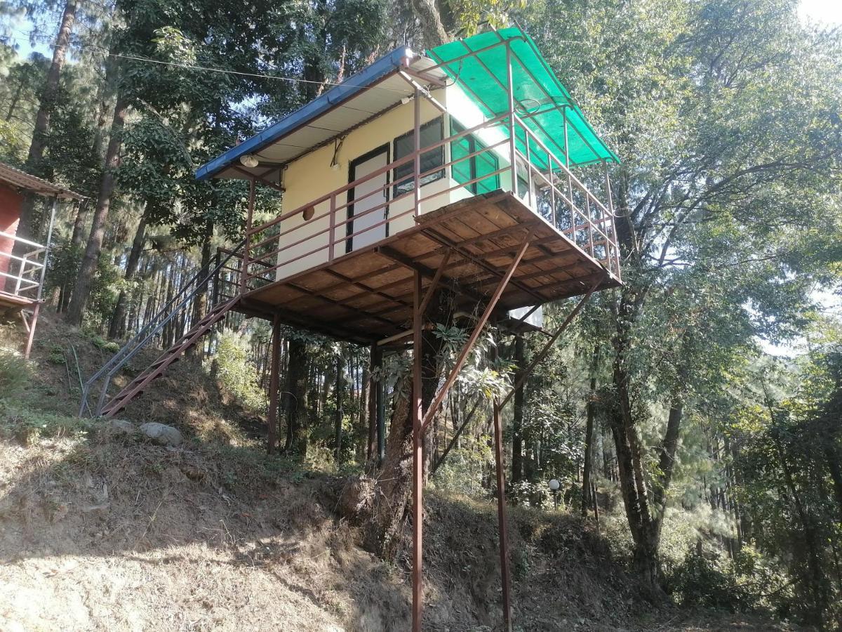Jungle Crown Organic Homestay Nagarkot Exteriér fotografie
