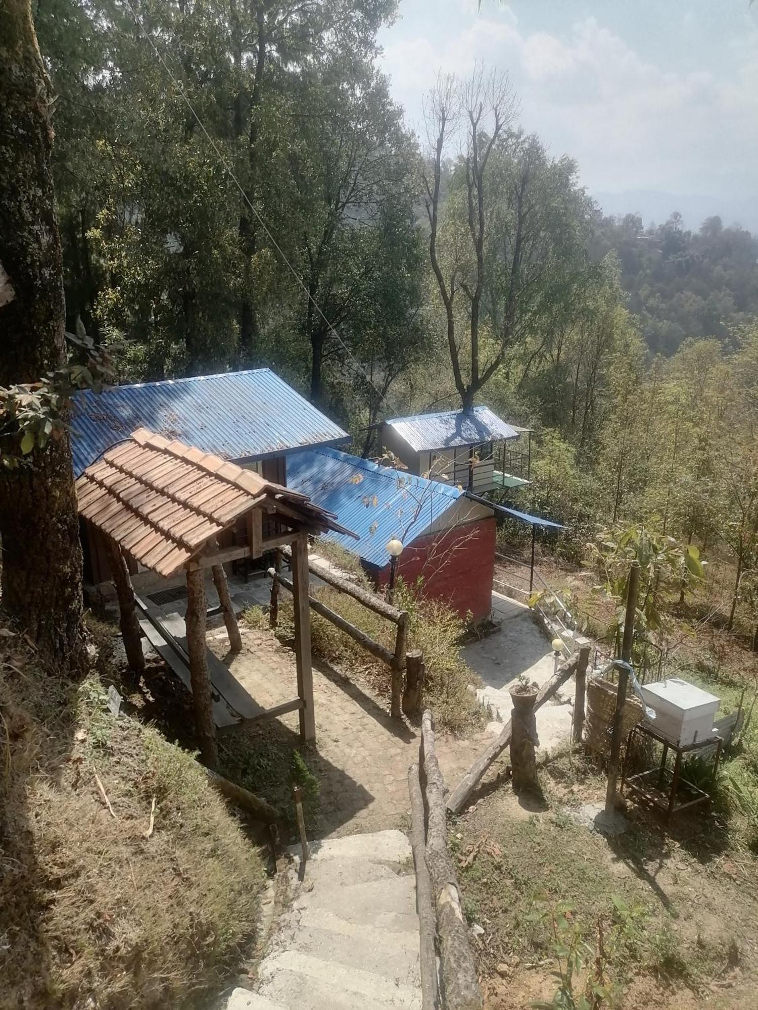 Jungle Crown Organic Homestay Nagarkot Exteriér fotografie