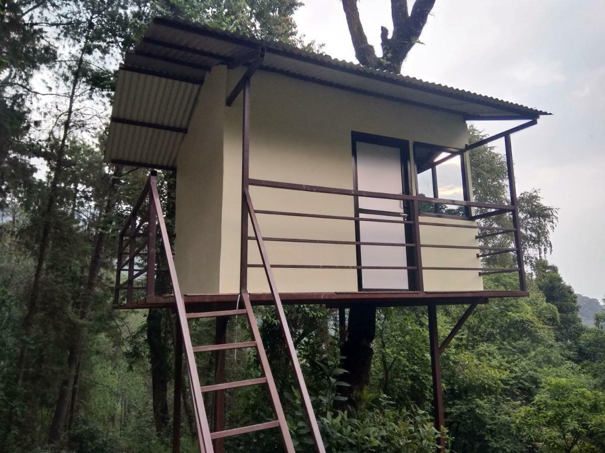 Jungle Crown Organic Homestay Nagarkot Exteriér fotografie