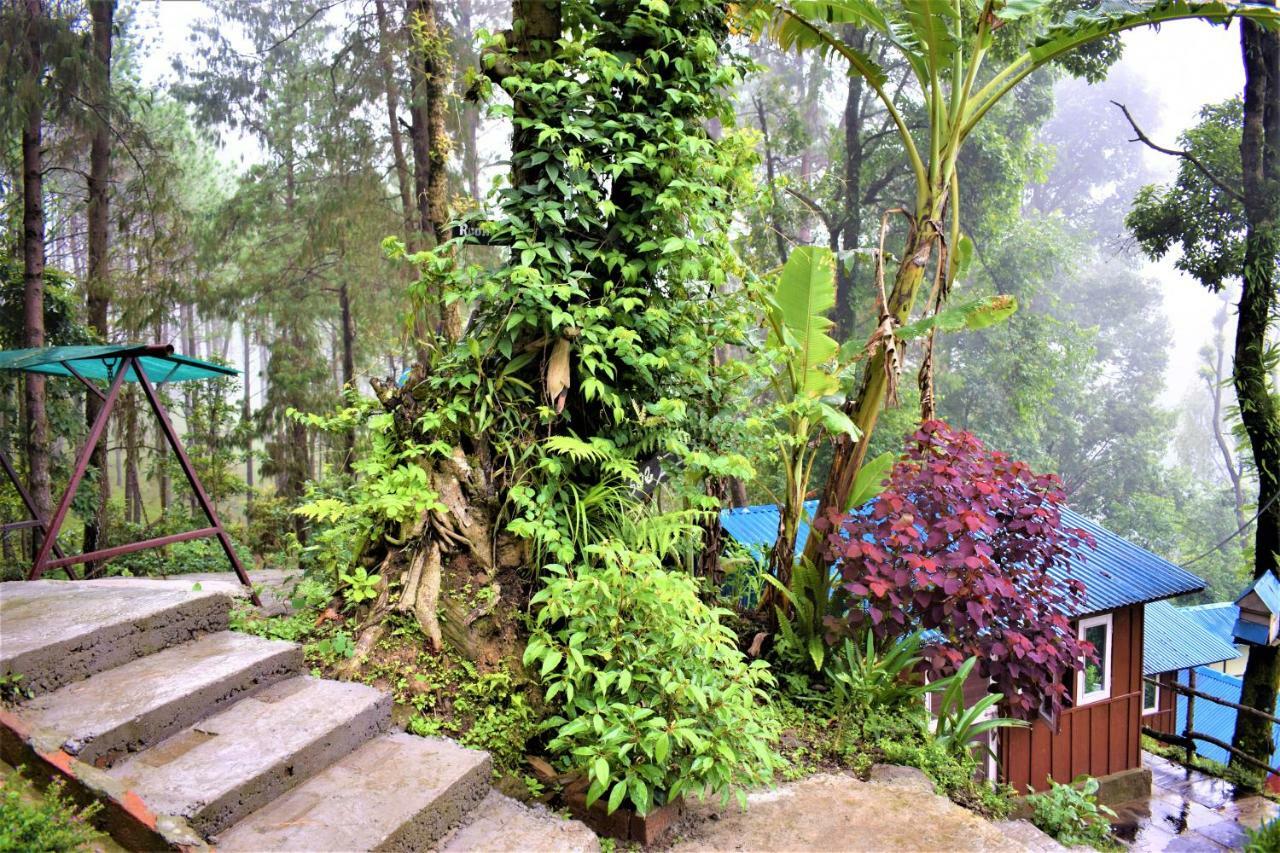 Jungle Crown Organic Homestay Nagarkot Exteriér fotografie
