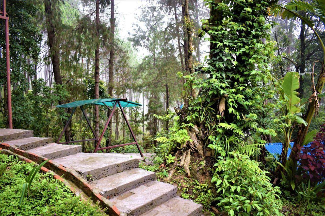 Jungle Crown Organic Homestay Nagarkot Exteriér fotografie