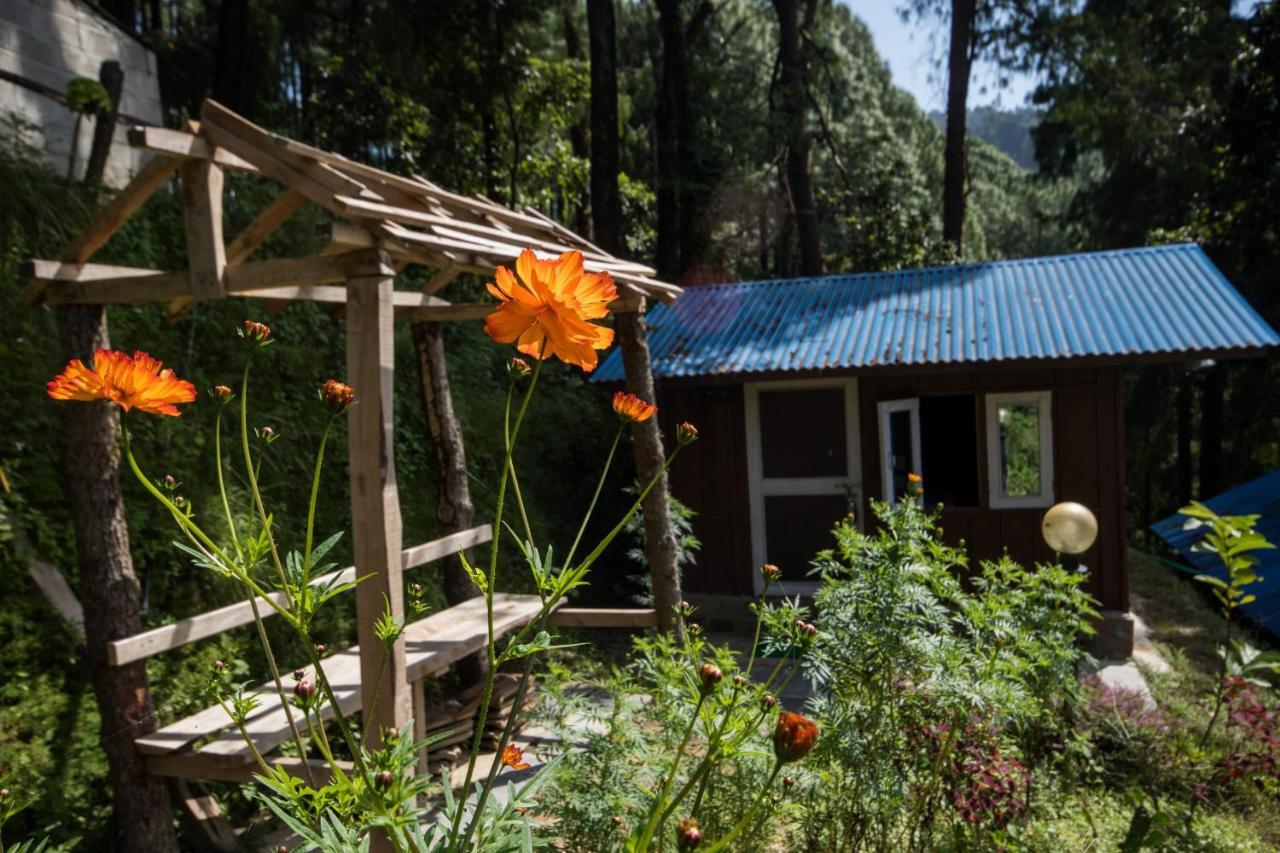 Jungle Crown Organic Homestay Nagarkot Exteriér fotografie