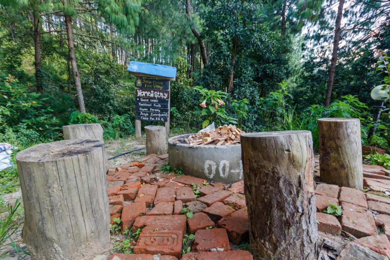 Jungle Crown Organic Homestay Nagarkot Exteriér fotografie