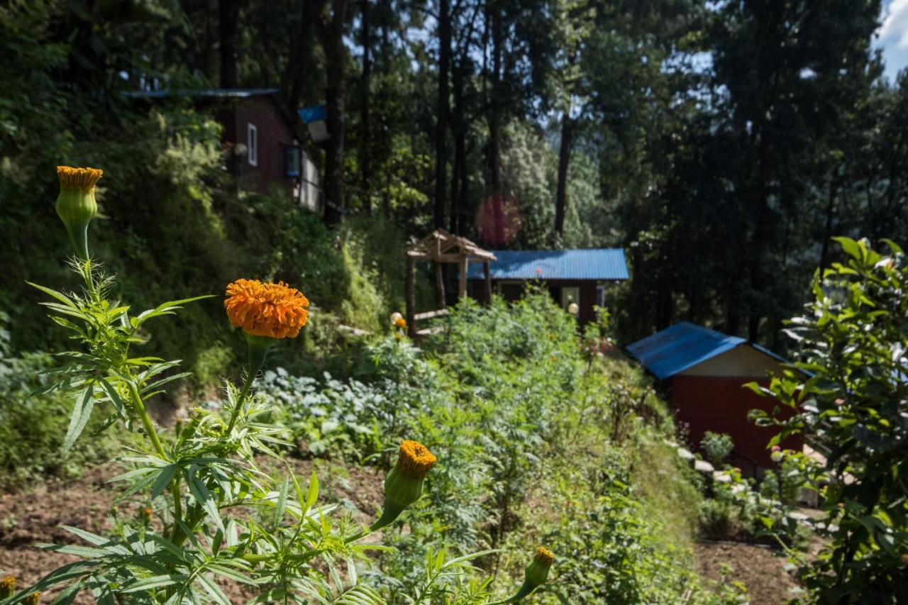 Jungle Crown Organic Homestay Nagarkot Exteriér fotografie